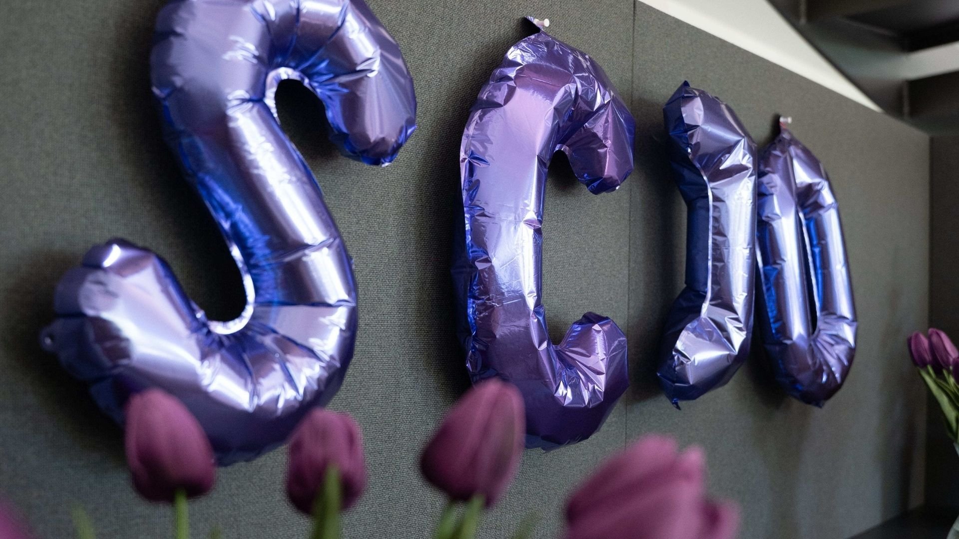 SCIO-IA-PD-about-header